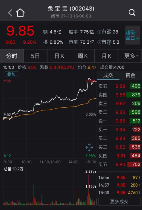 兔宝宝股票最新动态解析报告