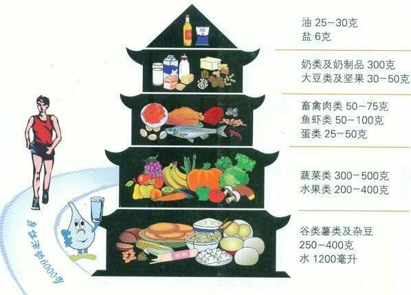 理解膳食宝塔最新版，打造健康饮食蓝图