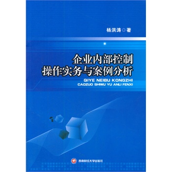 知名企业内部控制案例研究，最新实践与洞察