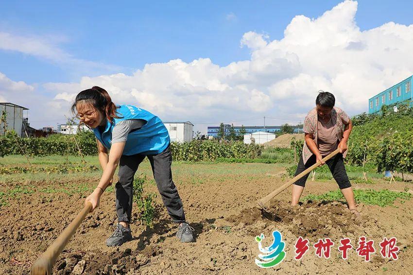 贵阳最新动态，城市发展与民生关切聚焦百姓关注